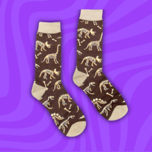 Calcetines Dinosaurios