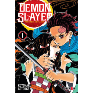 Demon slayer - Tomo 01