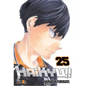 Haikyuu - Tomo 25