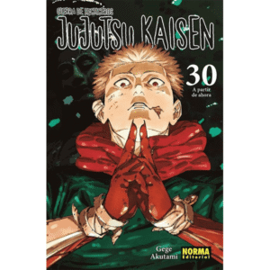 Jujutsu kaisen - 30